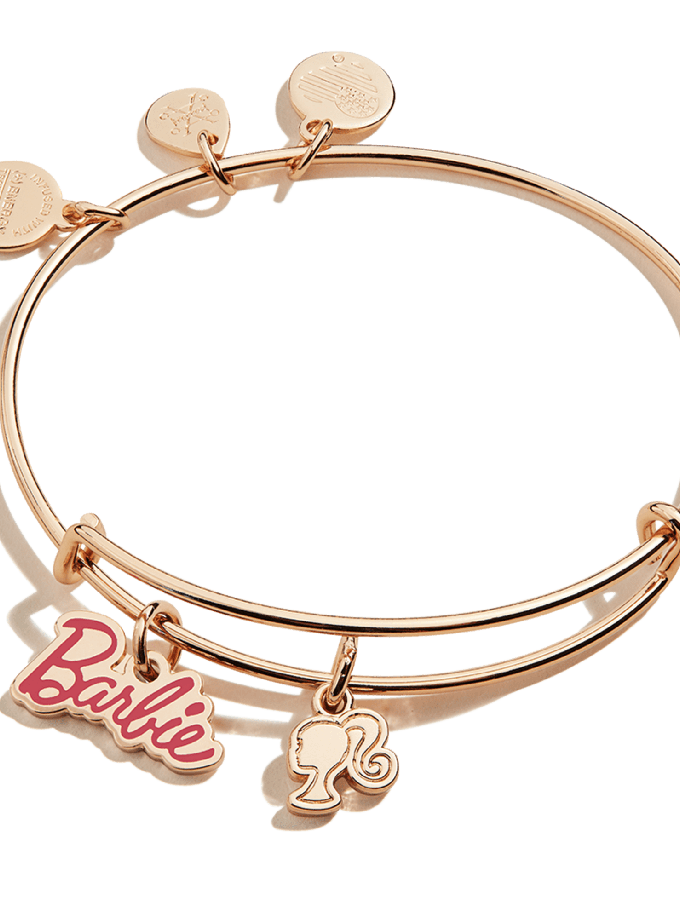 Alex and Ani Barbie Duo Charm Bangle Same Day Delivery