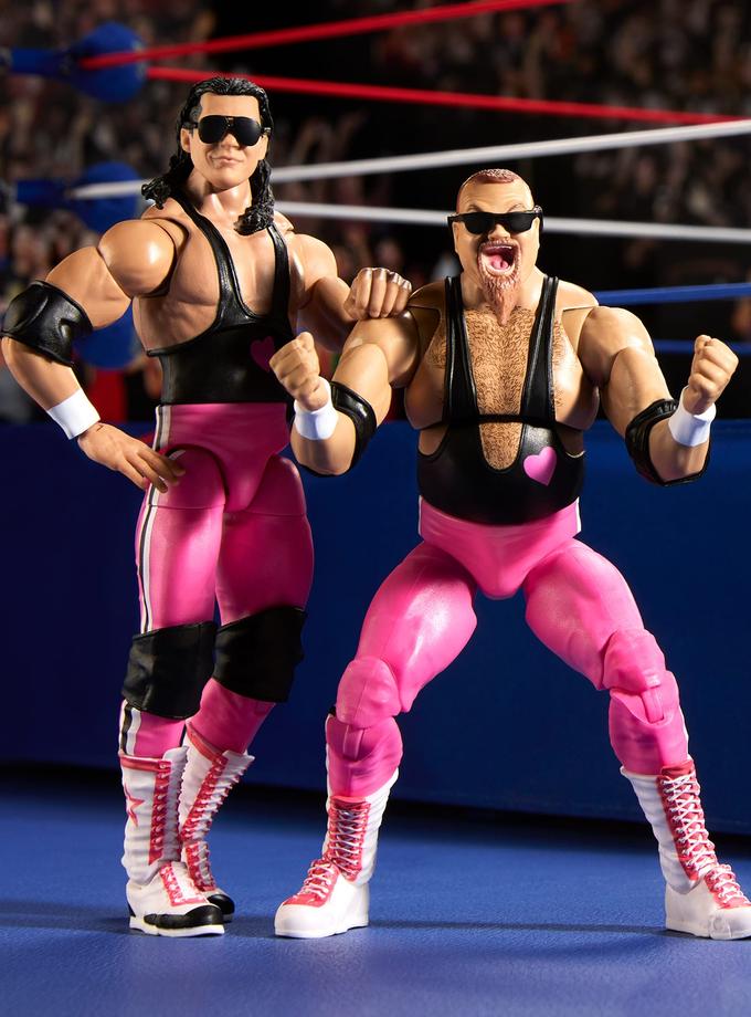 WWE Coliseum Collection Hart Foundation Action Figure 2-Pack Best Price